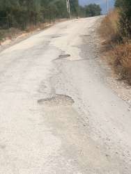 Photo of this report