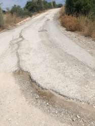 Photo of this report