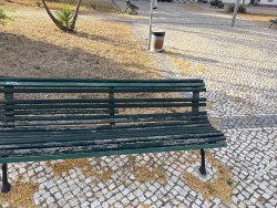 Photo of this report