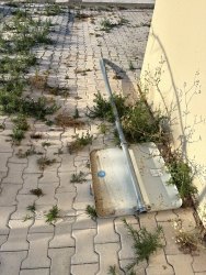 Photo of this report