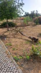 Photo of this report