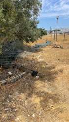 Photo of this report