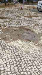 Photo of this report