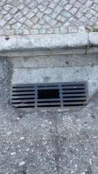 Photo of this report