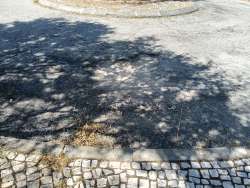 Photo of this report