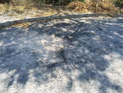 Photo of this report