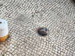 Photo of this report