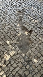 Photo of this report