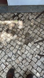 Photo of this report