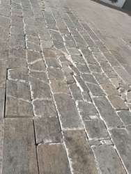 Photo of this report