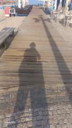 Photo of this report