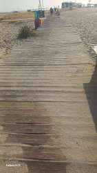 Photo of this report