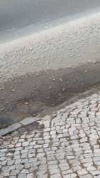 Photo of this report