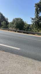 Photo of this report