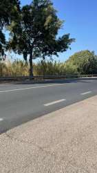 Photo of this report