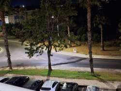 Photo of this report