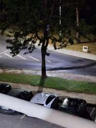 Photo of this report