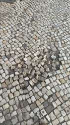 Photo of this report