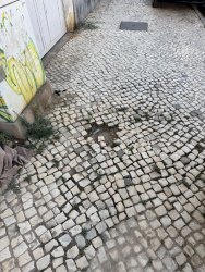 Photo of this report