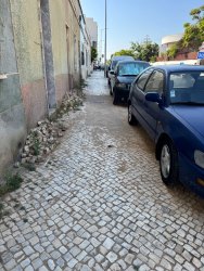 Photo of this report