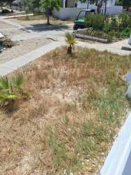 Photo of this report