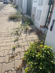 Photo of this report