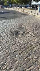 Photo of this report