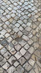 Photo of this report