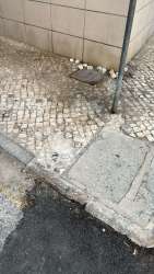 Photo of this report