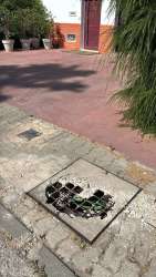 Photo of this report