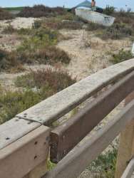 Photo of this report