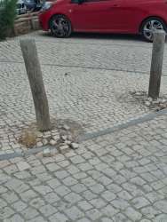 Photo of this report