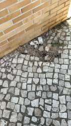 Photo of this report