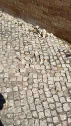 Photo of this report