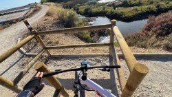 Photo of this report