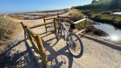 Photo of this report