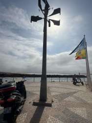 Photo of this report