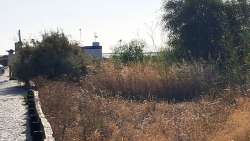 Photo of this report