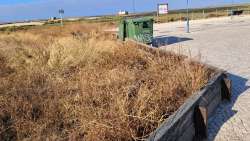 Photo of this report