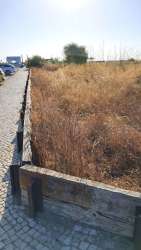 Photo of this report