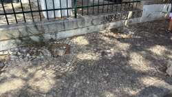 Photo of this report