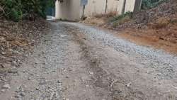 Photo of this report