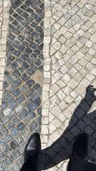 Photo of this report