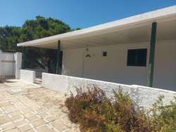 Photo of this report