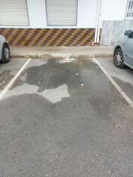 Photo of this report