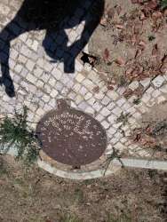 Photo of this report