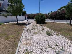 Photo of this report