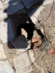 Photo of this report