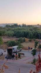 Photo of this report