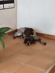 Photo of this report